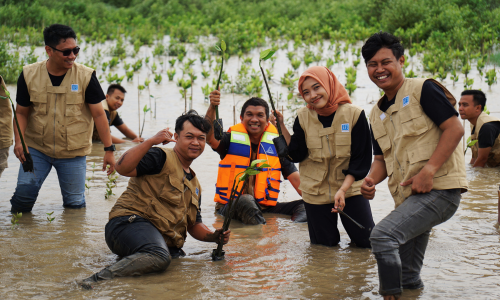 Brebes